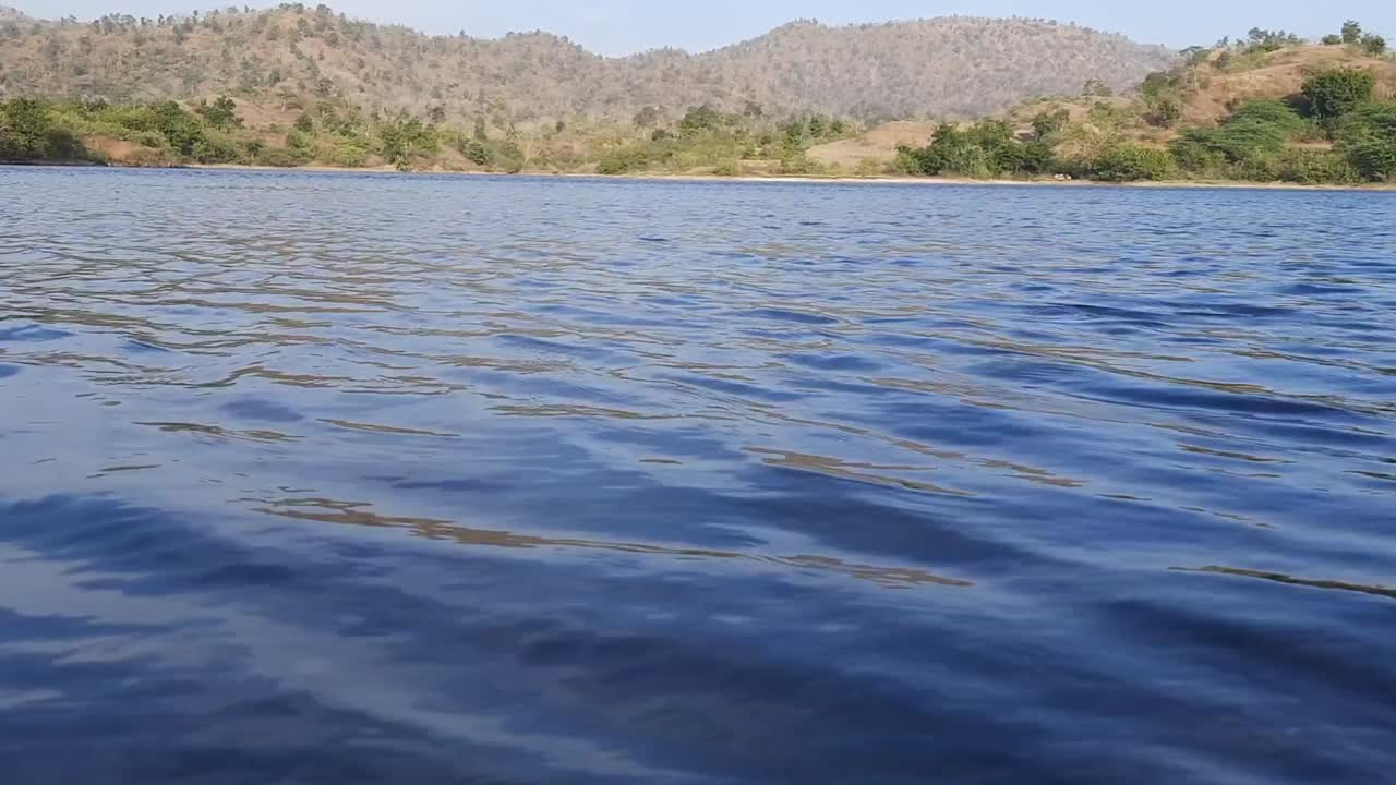 el bosque tropical del Amazonas