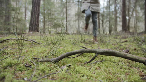 cámara lenta: una joven camina por el bosque y pisa un palo