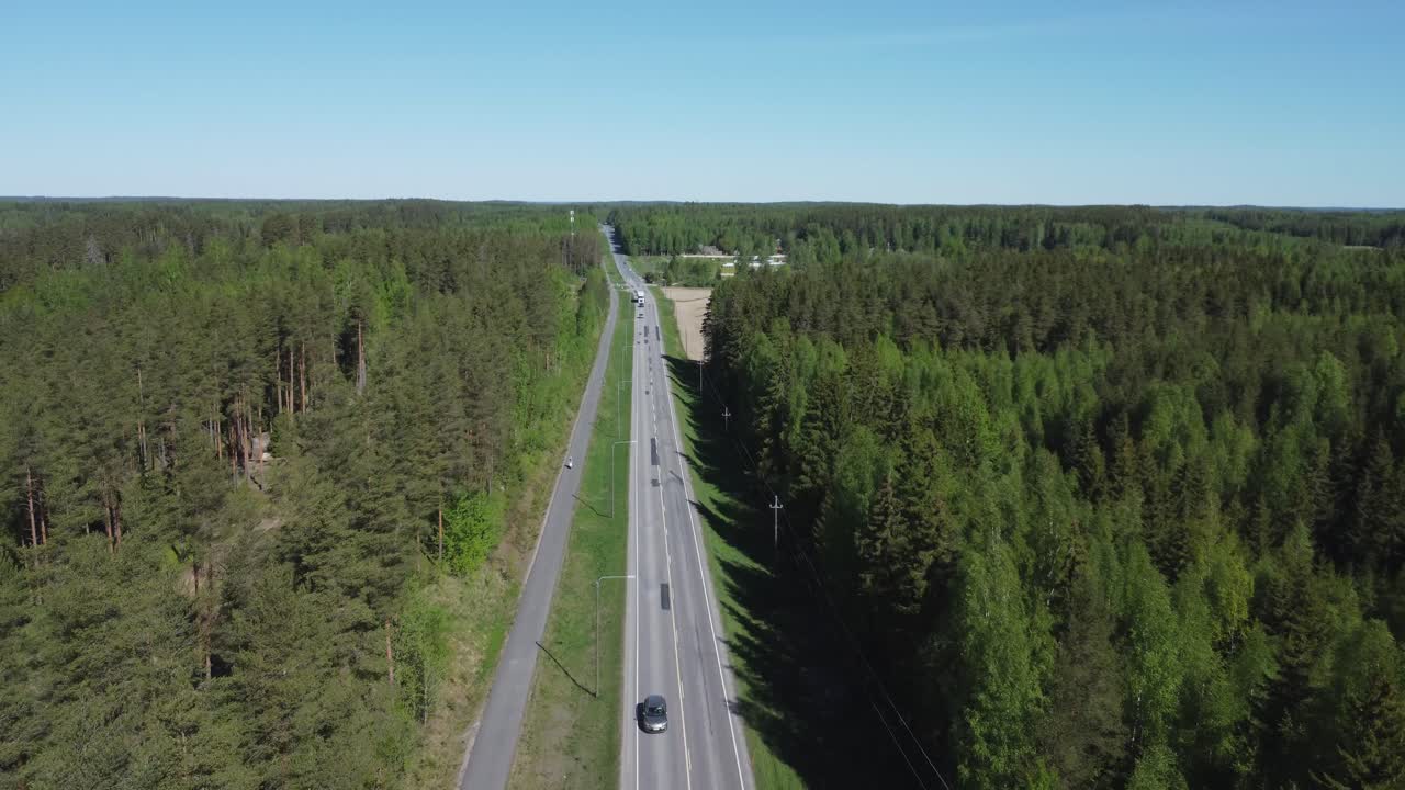 retiro de las pistas aéreas el tráfico de la carretera a través de un bosque verde vibrante