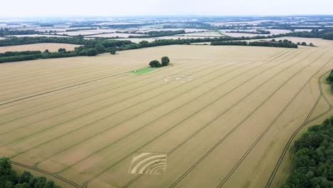 Rising aerial view across Micheldever, Hampshire farming countryside crop circles formed on golden wheat field 2023