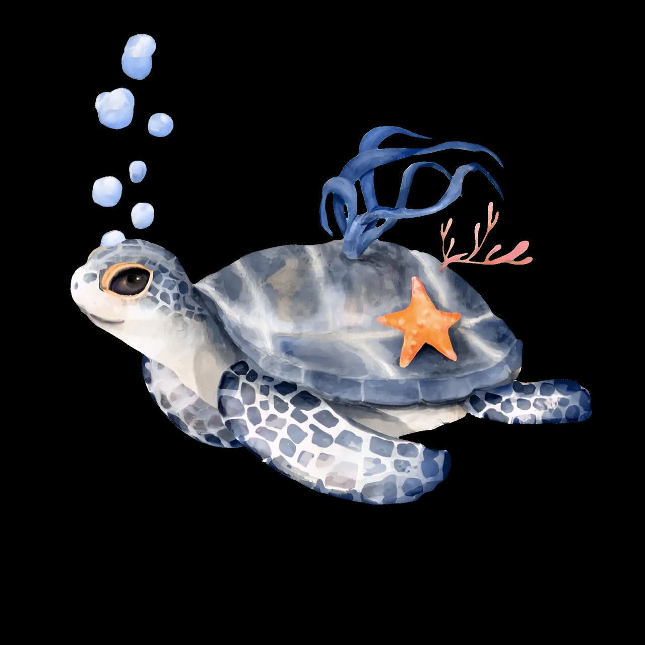 Whimsical aquatic turtle illustration animated overlay, transparent 4K video, alpha channel, ProRes