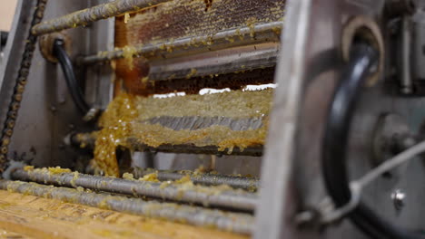 vax removal honey production factory