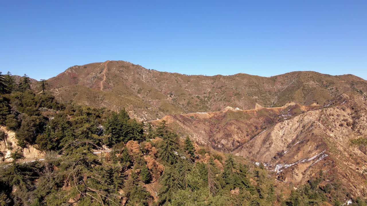 despegue del bosque nacional angeles cubierto de nieve