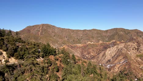 despegue del bosque nacional angeles cubierto de nieve