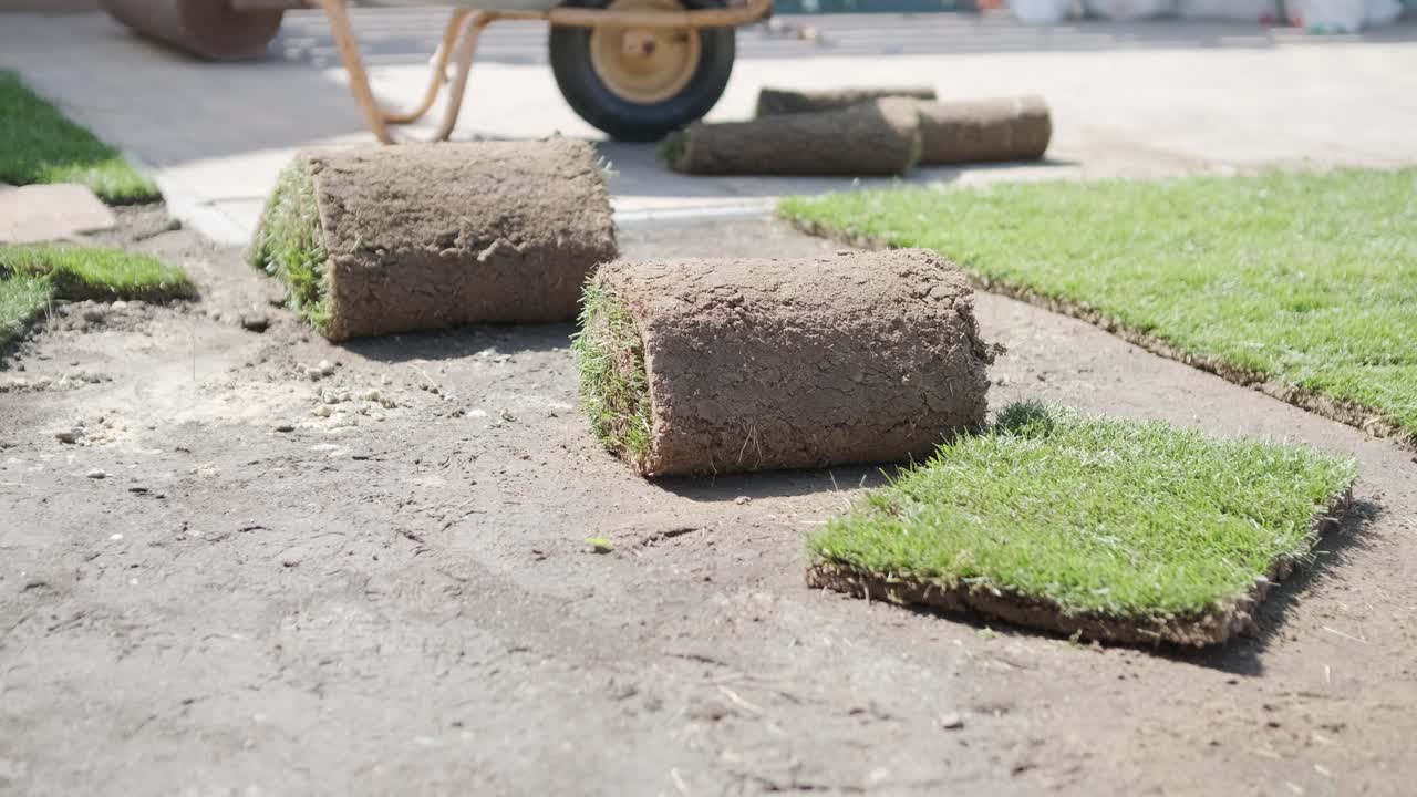 정원사 가 목조 울타리 로 사립 마당 에 잔디 를 고 있다