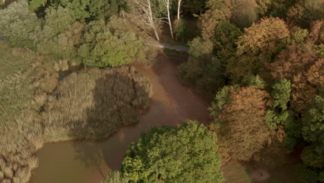 Toma-Aérea-Cenital-De-Un-Pantano-Cubierto-De-Hierba