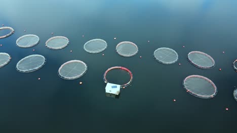 fish industry and trout fish farm with circle cages in mountain lake