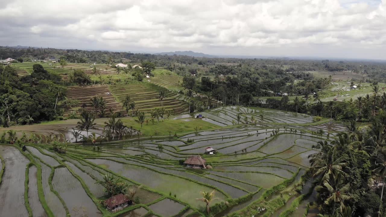amplia toma aérea volando sobre campos de arroz, y terrazas inundadas en un valle en asia