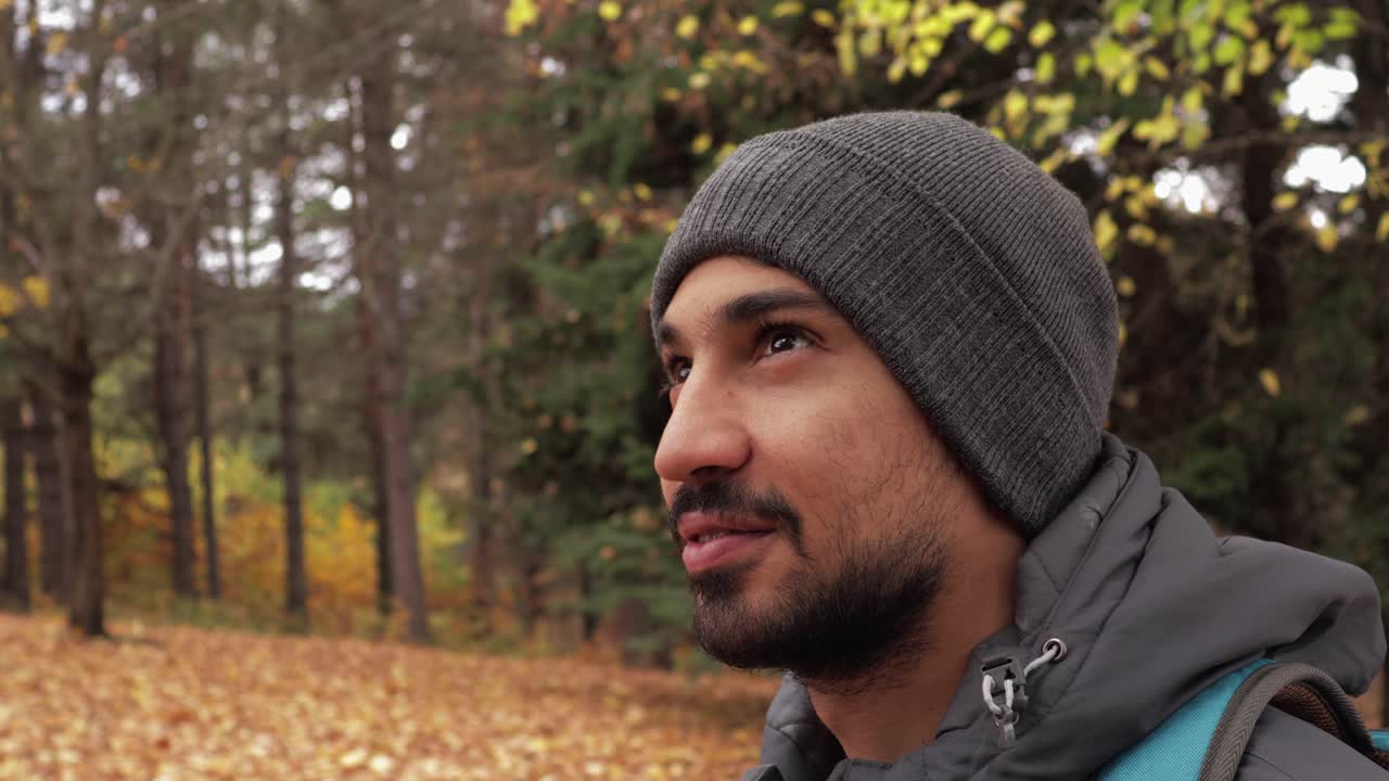 Hiker explores the tranquil forest, surrounded by nature's vibrant palette