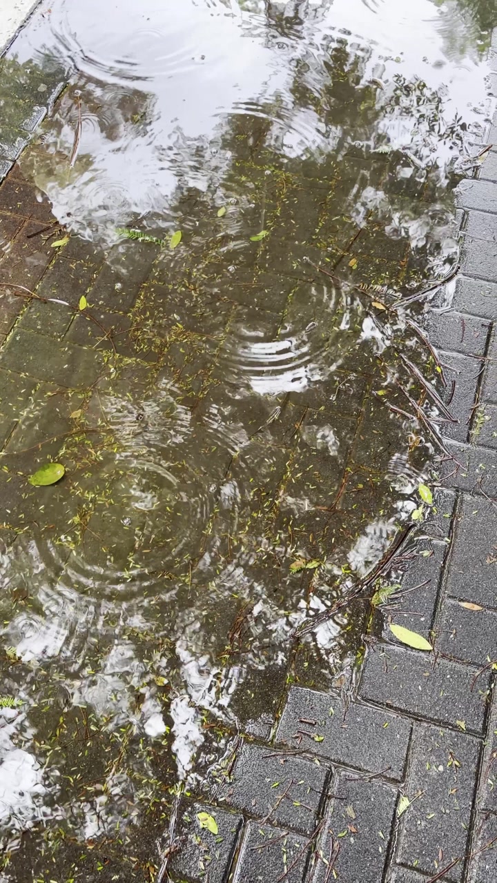 Rain dripping in puddle on city street outdoors on cold winter day. Sidewalk with rain water puddle. Rainy season quiet day with raindrops falling on floor with reflection of trees in winter season