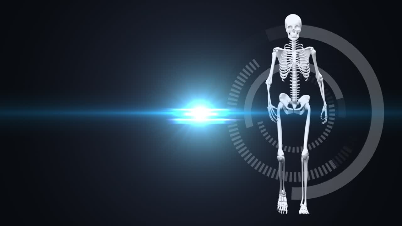 Animation af lyspletter over et skelet