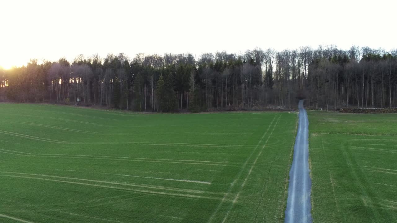 독일, 유럽의 아름다운 일출 동안 녹색 농경지 위로 오름차순