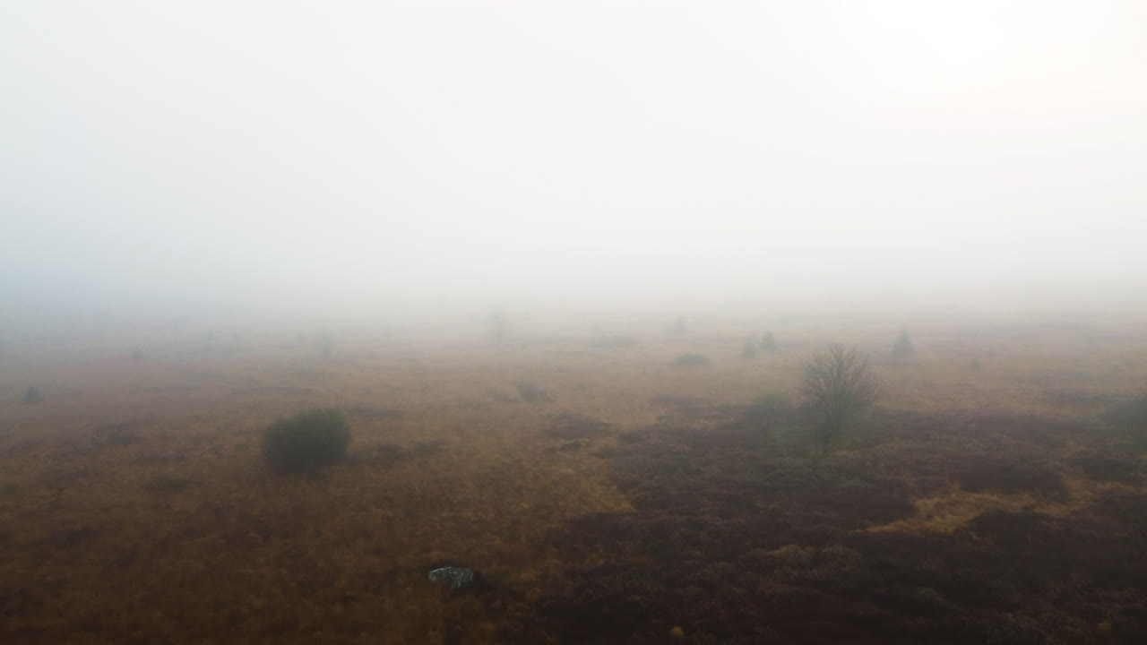 una antena de avión no tripulado de un prado brumoso en los bosques de bélgica
