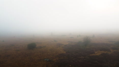 Una-Antena-De-Drones-De-Un-Prado-Brumoso-En-Los-Bosques-De-Bélgica