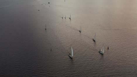 group of sailing yachts at sunset