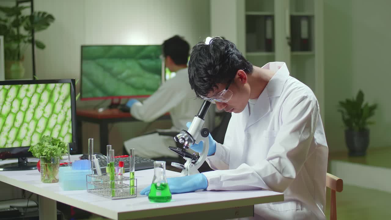Biochemistry Doctor Examining Chemical Test Using Microscope For Genetic Researcher. Biologist Specialist Discovery Organic Gmo Plants While Working In Microbiology Food Laboratory