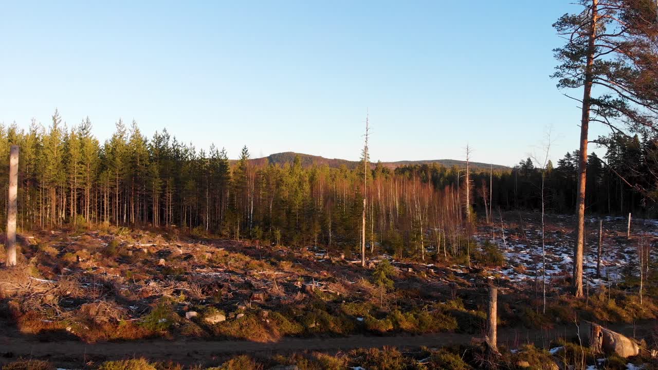 Rör sig långsamt framåt genom några träd.