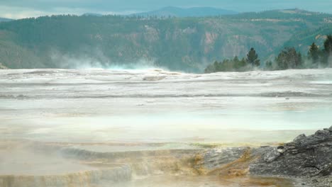 mammoth hot springs yellowstone national park an overview of the steamy upper terraces revealing the mountains behind