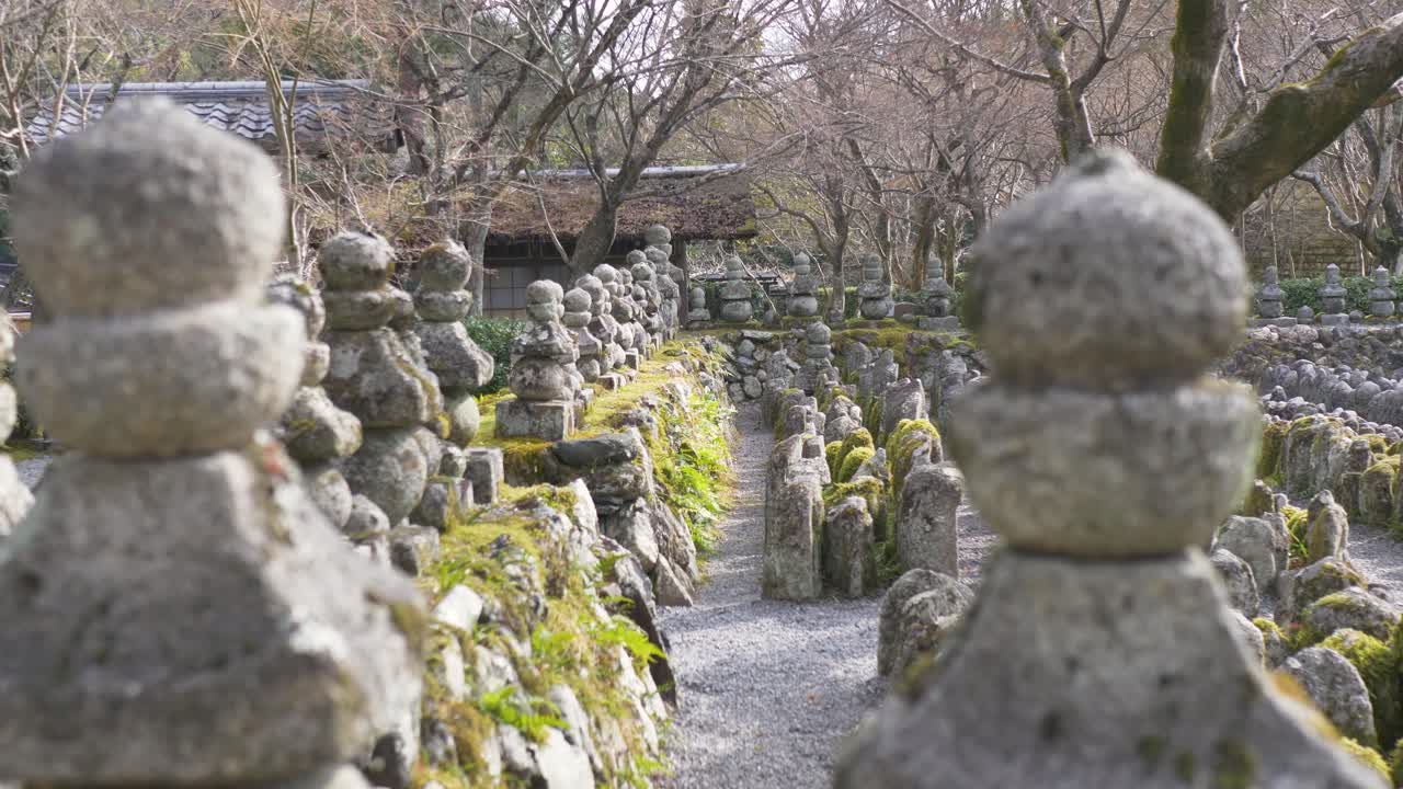 Paesaggio al rallentatore di monumenti di statue in pietra muschiosa allineati nel cortile del tempio santuario Adashino Nenbutsuji con alberi della foresta invernale sullo sfondo a Kyoto, Giappone, turismo e storia.