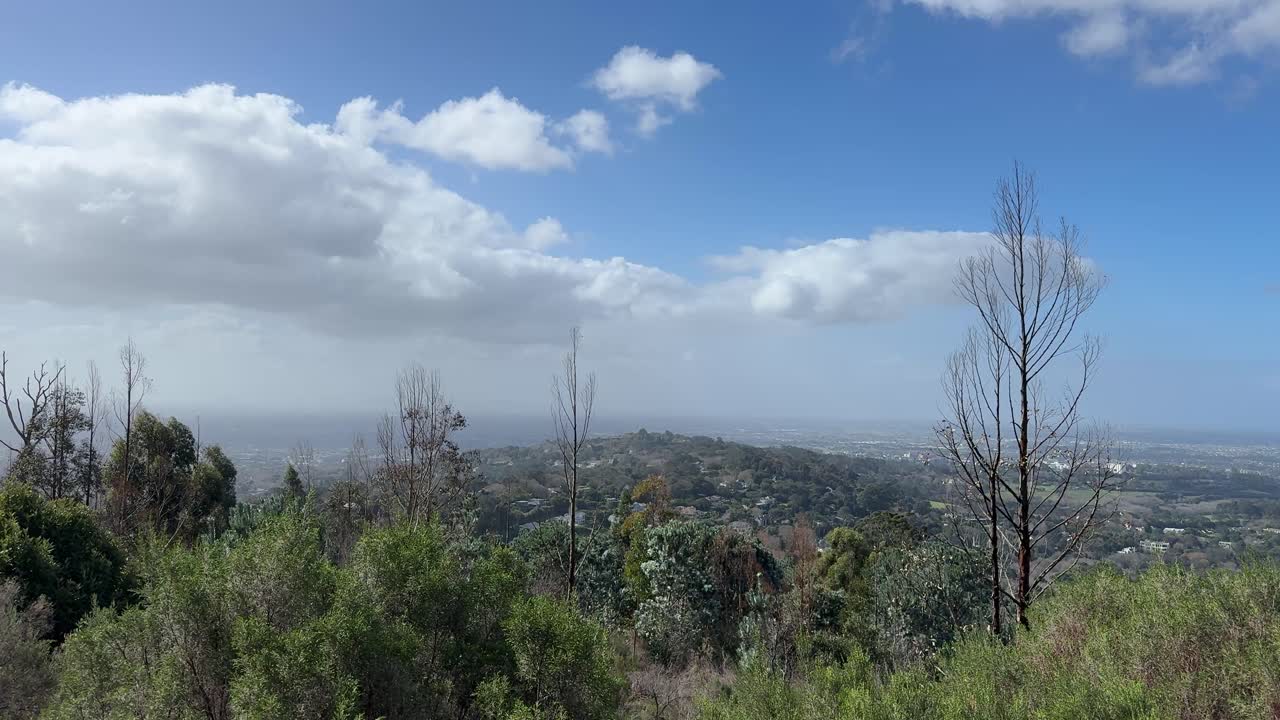 Views from the mountains of Constantia in Cape Town, South Africa