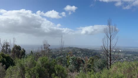 views from the mountains of constantia in cape town, south africa