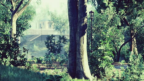 paisaje de parque sereno con exuberante vegetación y suave luz matinal