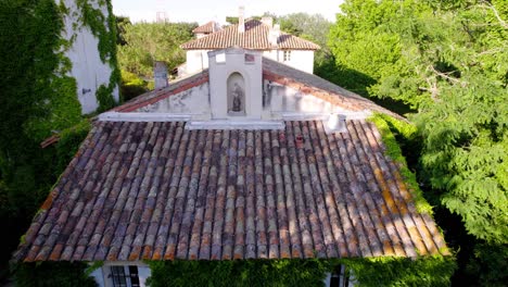 las plantas trepadoras revelan la estatua de st.