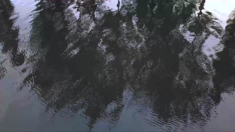 drone footage of mondego river in coimbra