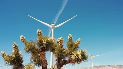 joshua tree frente a la torre del molino de viento