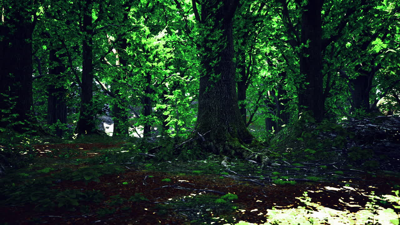 Una lussureggiante foresta verde si risveglia sotto la luce del sole in un rifugio naturale e tranquillo