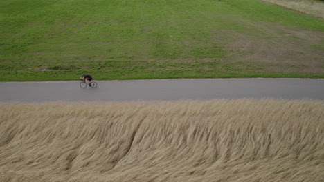 drone trucking pan follows cyclist riding along grassy field, smooth asphalt