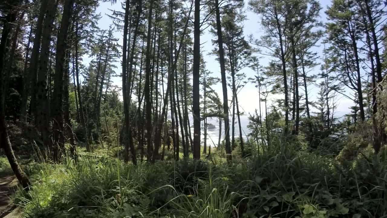 Walking on a path in the forest with the ocean in the background slo-mo