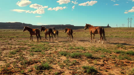 Vista-Aérea-De-Drones-De-Caballos-Salvajes-Corriendo-En-Arizona