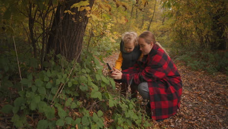 Fotografía-Por-Teléfono-Inteligente-De-La-Naturaleza-En-El-Bosque,-Una-Mujer-Y-Un-Niño-Están-Tomando-Fotografías-De-La-Vida-Silvestre-Caminando-En-El-Bosque-Junto-Con-Su-Madre.