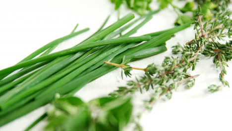 Various-type-of-herbs-on-white-background-4k