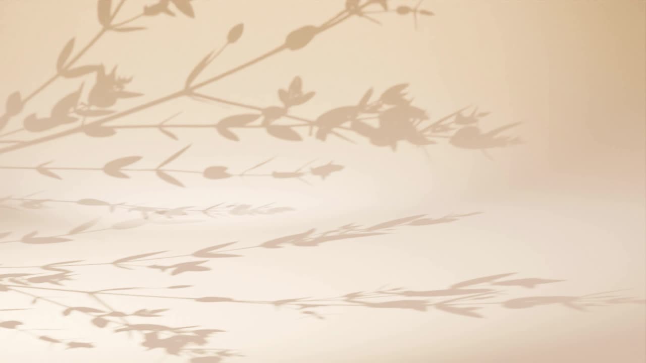 배경: 모래 벽 위에 그림자 잎 나무 식물 모이 스튜디오 하우스 애니메이션