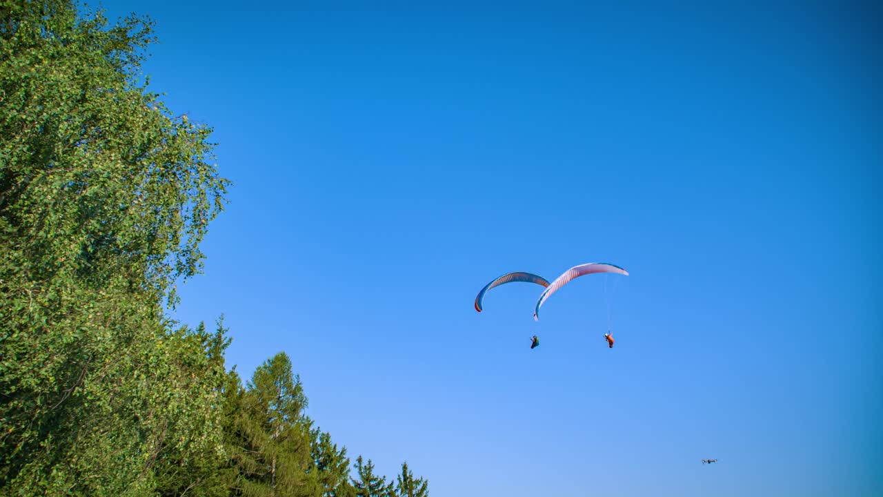 Low angle view of a pair of paragliders flying above the forest in the distance on a clear blue sky