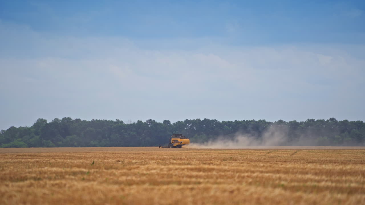 Beautiful view of the broad wheat plantation against blue sky. Harvester moving slowly far in the distance. Dusty trail of straw left behind the machine.