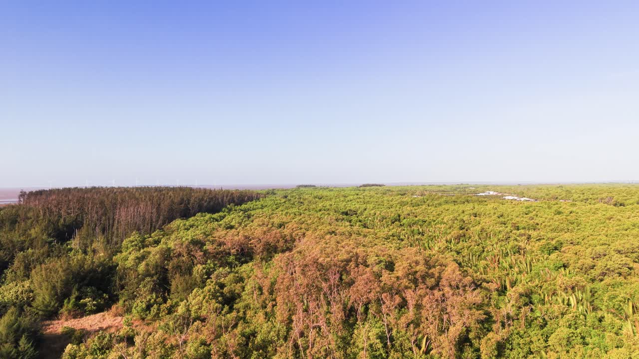 Esplorando il paesaggio lussureggiante di Ben Tre, Vietnam. Dall'alba alla luce del pomeriggio