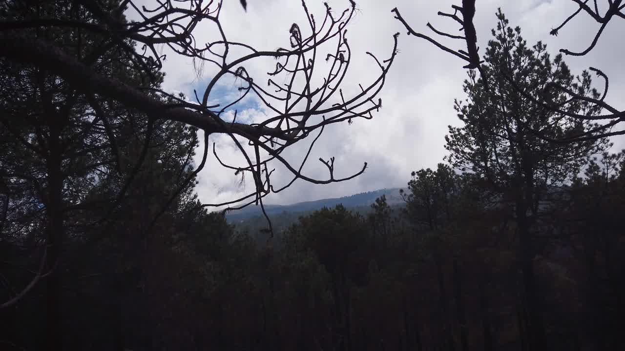 Static panoramic shot from the mountainous pass of Paso de Cortés of the Popocatépetl volcano behind a cloud bank on a winter morning in Mexico
