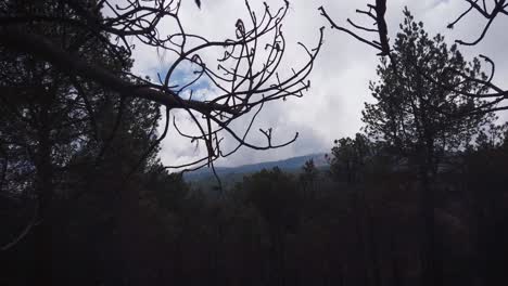 static panoramic shot from the mountainous pass of paso de cortés of the popocatépetl volcano behind a cloud bank on a winter morning in mexico