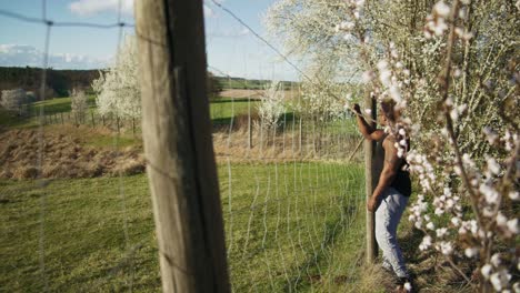 black farmer with tattoos and muscle shirt resting on fence | blooming white trees in apple orchid, farmland in germany, europe, 4k