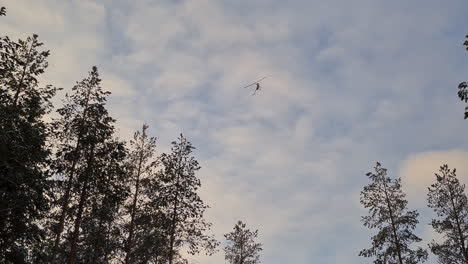 dramático helicóptero de rescate y respuesta de emergencia se eleva por encima de las copas de los árboles en una misión para salvar vidas.