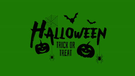 halloween animado con murciélagos voladores araña fantasma calabaza en pantalla verde | feliz halloween
