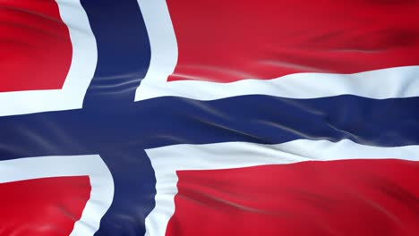 bandera noruega ondeando en el viento con textura de tela muy detallada. bucle sin costuras