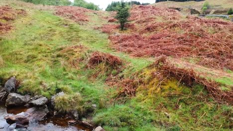 Cinematic-drone-zoom-in-of-scottish-highland-creek