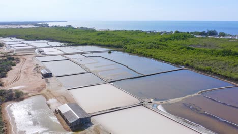 salt pans in dominican republic. aerial forward