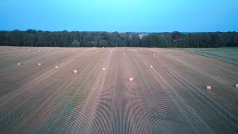flying above the field with hay rolls sunrise.