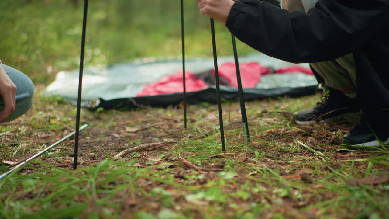 Two friends assembling tent in quiet forest as they stick poles into ground, bathed in soft natural sunlight filtering through trees, creating peaceful and intimate outdoor camping vibe