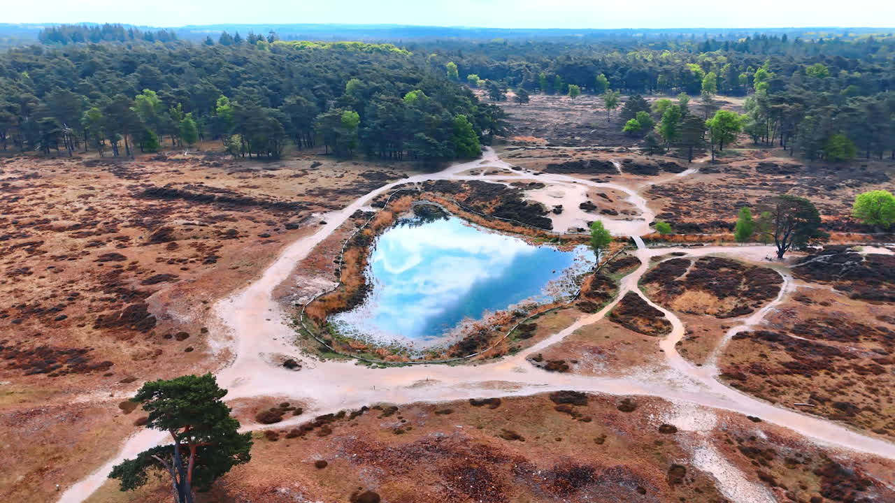 Beautiful Dutch landscape. Expansive view of a serene pond surrounded by lush greenery and diverse landforms in the Netherlands during daylight